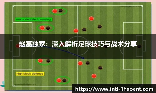 赵磊独家：深入解析足球技巧与战术分享